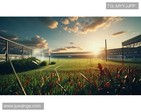 绿茵场上热血飞扬赞美伟大足球巨星无尽辉煌