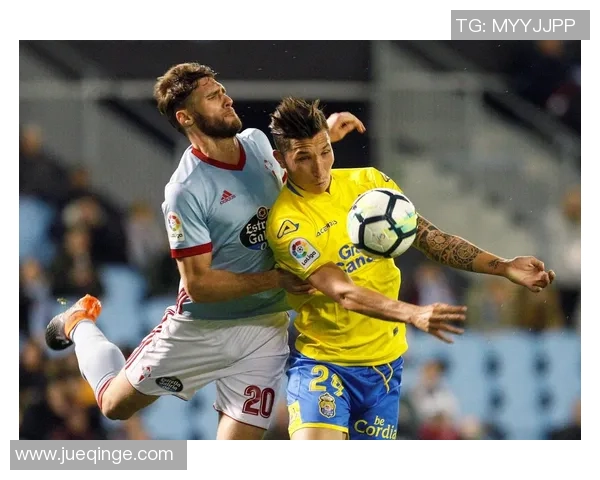 巴西帕尔马斯足球队球星的成长历程与辉煌成就分析