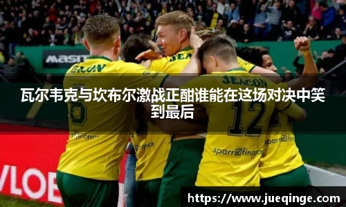 DG视讯