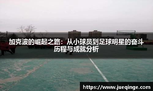 DG视讯官方网站