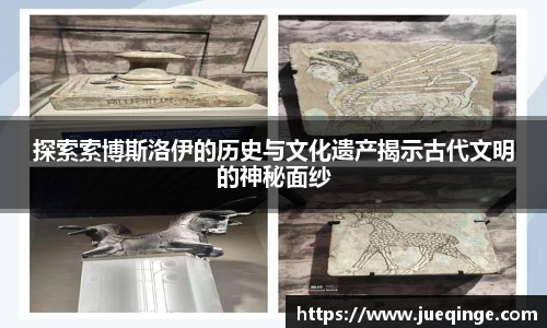DG视讯官方网站