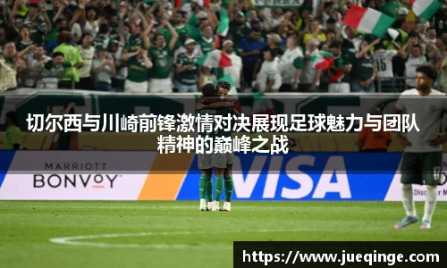 DG视讯